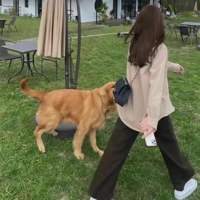 怀梦之邦