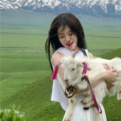 海豚王之死